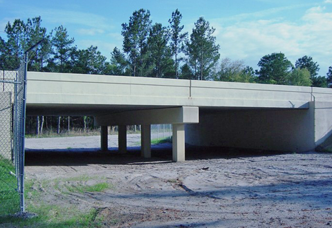 SR 46 WILDLIFE CROSSING