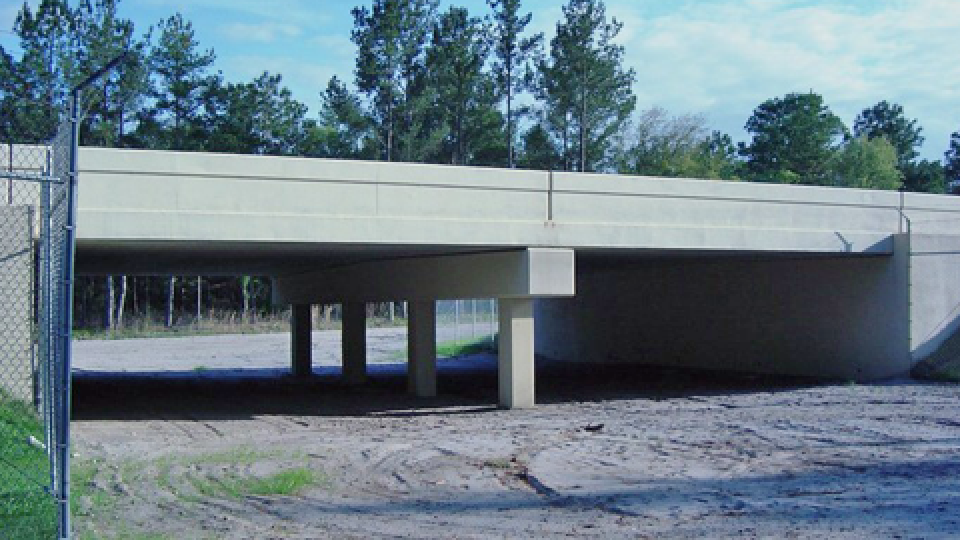 SR 46 WILDLIFE CROSSING